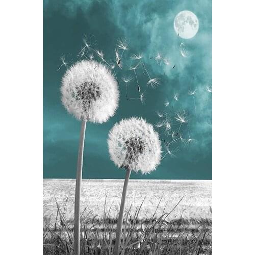 JMINE Div 5D dandelion moon Full Diamond Painting cross stitch kits art High Quality Plant 3D paint by diamonds