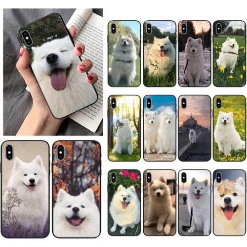 ZXUAN Lovely Dog Samoyed Phone Case For iPhone 12 Mini 11 Pro XS Max X XR 7 8 Plus