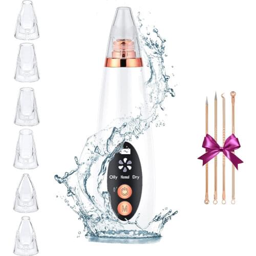 PSWWSP Vacuum Pore Cleaners