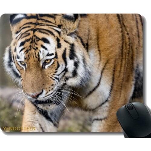 Mouse Pad,Tiger Predator Big Cat 173655 Mouse Pads