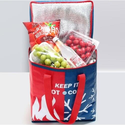 Portable Aluminum Foil Thermal Bag 23L Camping Food Insulation Beach Cooler Car Refrigerator