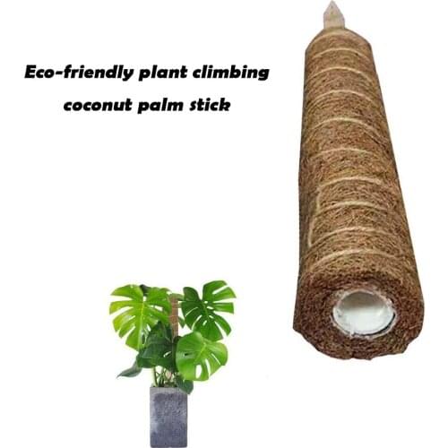 Support Coir Coconut Cane Palm Sticks 2pcs Support Gardening Coconut Palm Stick Garden Plants Climbing Flower Vine