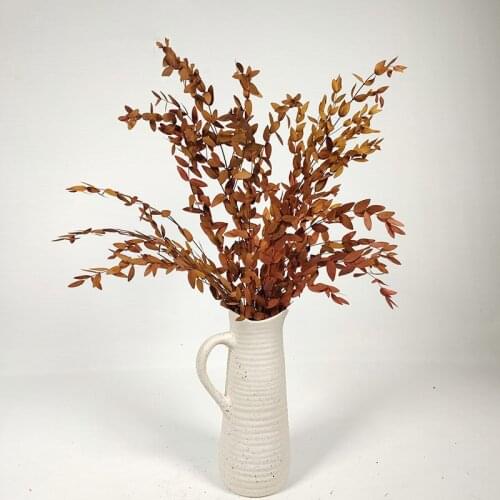 Natural Eucalyptus Leaf Real Preserved Dried Flowers Ornaments Valentine Newyear 2021 Wedding Photograph Desktop Home Decoration