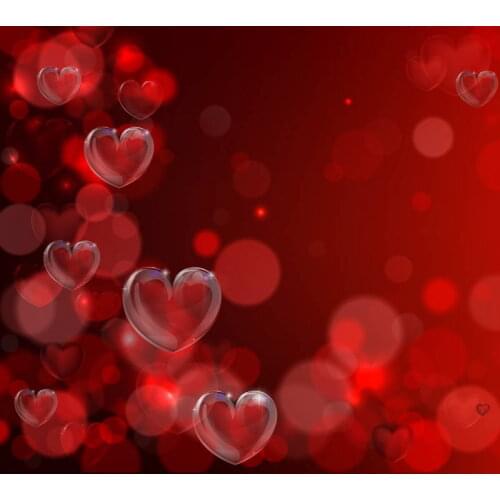 VinylBDS Heart ValentineS Day Backdrops Photography Studio Photo Backgrounds Love Washable Backdrops For Photography 2016