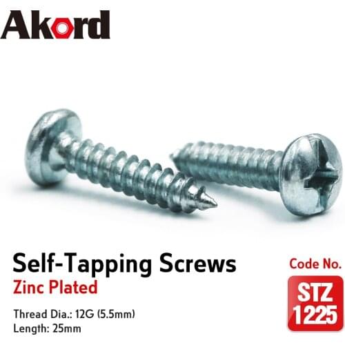 ACCORD 100PCS Self-Tapping Screws 12Gx25mm Zinc Plated with Storage Box Galvanized Steel Fasteners