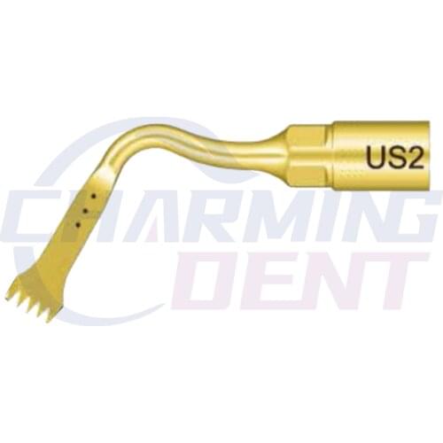 Precision Saw Surgical Tips Insert Dental Piezo Scaler Ultraonic Bone Surgery Tips US2/Piezosurgery Mectron Ultrasurgery Dentist