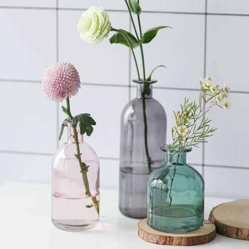 Vase Transparent Glass Multicolor Bottle Small Vases Grand Decoration Home Decor Flower Bathroom Nordic ваза для цветов стекло