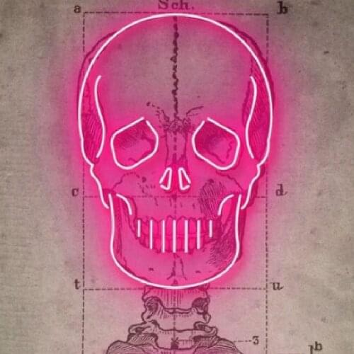 Neon Signs for pink skull neon art bulb Sign Decorate tattoo Room wall window Lamps Handcraft real Glass Tubes Art Dropship
