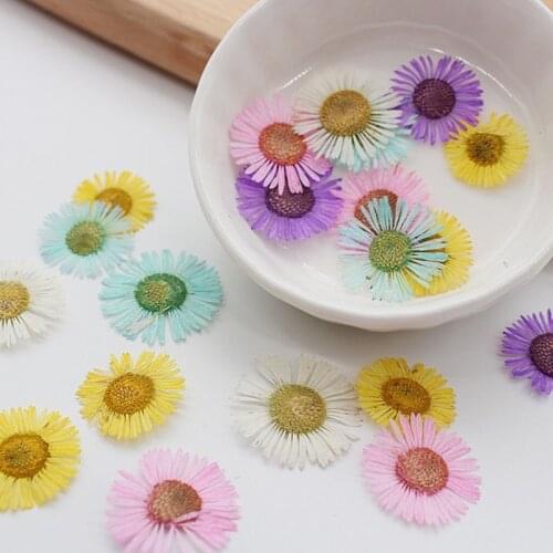 12 Pcs/Set DIY Needle Chrysanthemum Dried Flowers Resin Mold Fillings UV Expoxy Filler Flower for Nail Art Pressed Flowers Decal