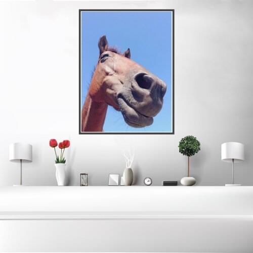 Modern Horse Animal Poster Canvas Print Painting Wall Art Living Room Home Decoration