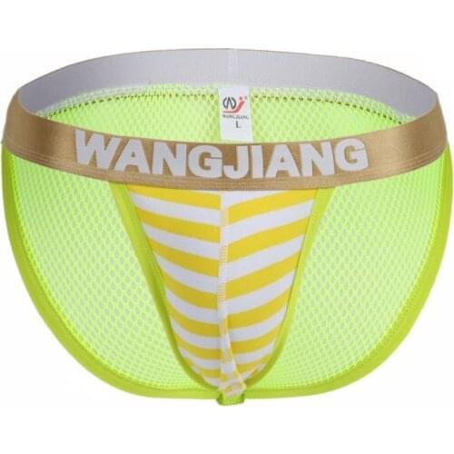 New Brand Male Cotton Underwear Men Briefs New Arrivals Mens Sexy Gay Underpants Low-waist High Fork Tight Sexy Briefs mesh