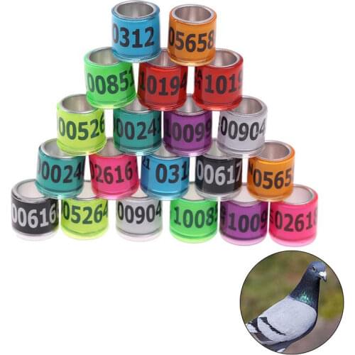 20 pcs 2021 multicolor Pigeon Foot Ring With Word Earrings Quality Durable Bird Ring Racing Pigeon Foot Ring Bird Tools