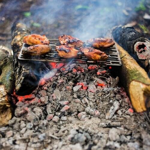 AIFREEDOM Camping Titanium Mini Grill Charcoal Barbecue Grill Gas Grill For Outdoor Picnic BBQ