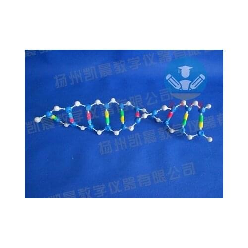 DNA Double helix structure Model component Biological experimental teaching apparatus free shipping