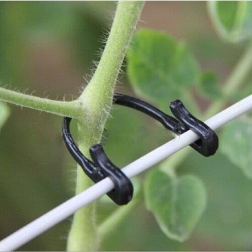 DOLLKEOO Supports And Garters For Plants