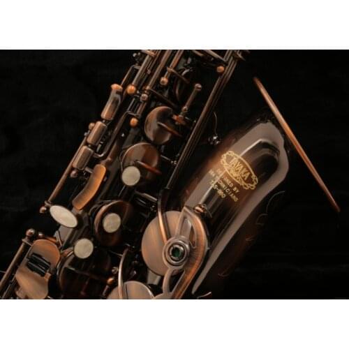 TAYAKA TAS-860 Purple Copper Professional Level Alto Saxophone Antique Copper Eb Sax Western Instruments