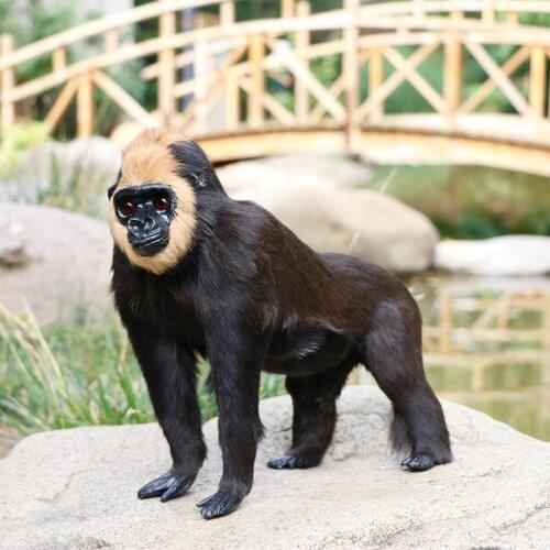 Simulation Orangutan Gorilla Wild Animal Action Figure Collectible Model Kid Toy