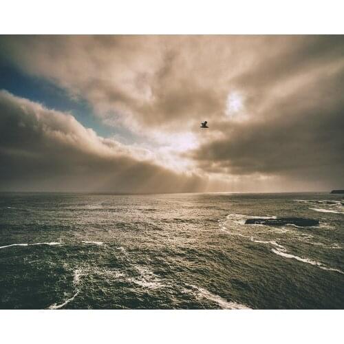 Free Shipping 3D Custom Photo Wallpaper Seagull Living Room Background Wall Painting Hotel Decoration Wallpaper Beautiful Mural