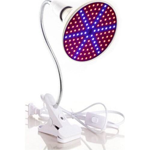 Sevenneonlighting Professional Lighting