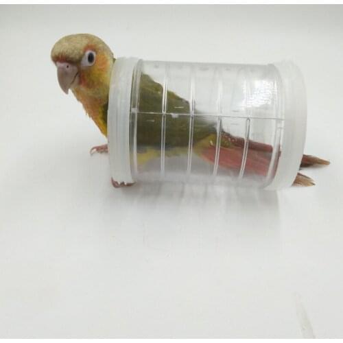 Parrot Bird Toy Foraging Intelligence Training Props Bird training Parrot intellectual Toy Educational Interactive Prop Creative