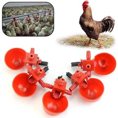 5Pcs Feed Automatic Bird Coop Poultry Chicken Fowl Drinker Water Drinking Cups