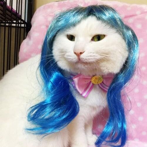 [MPK Cat Wigs] Blue and Magenta Wigs for Cats, Cute Cat Costume Assessories, Cat Headwear