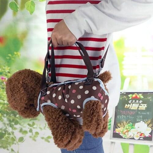 Pet Dog Carrier Outdoor Travel Puppy Shoulder Bag Handbag Four-legged Bag with Traction Rope Cat Leash Bags Backpack Tote Pouch