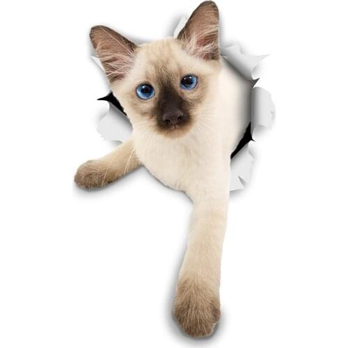 Siamese Kitten Cat Lovely Car Sticker Waterproof Decal Laptop Suitcase Guitar Truck Motorcycle Accessories PVC,12cm*5cm