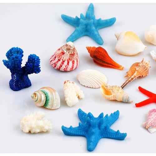 Natural Conch Shell Crafts Coral Stone Ornaments Aquarium Decoration Micro Landscape Creativity Seaside Starfish Fish Tank Decor