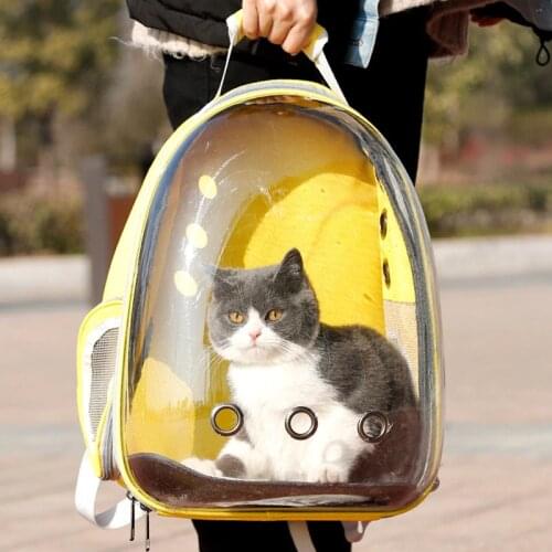 Portable Pet Carrier Bag Breathable Cat Bag Outdoor Travel Backpack for Cat and Dog Transparent Space Pet Backpack Bag for Cat