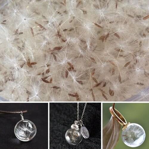 200PCS Dandelion Seed For DIY jewelry making glass globe necklace Fairy Dust Bottles