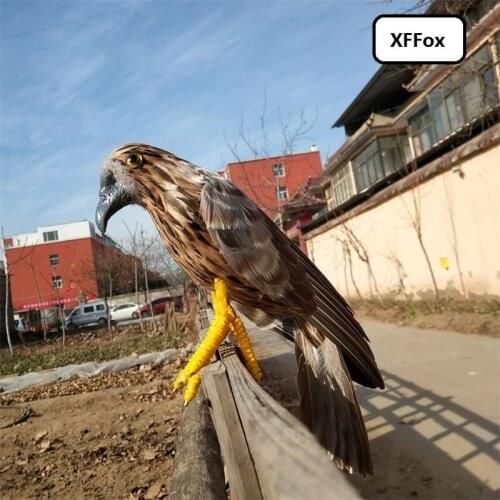New real life eagle model foam&feather simulation little wings eagle bird gift about 30cm xf0787