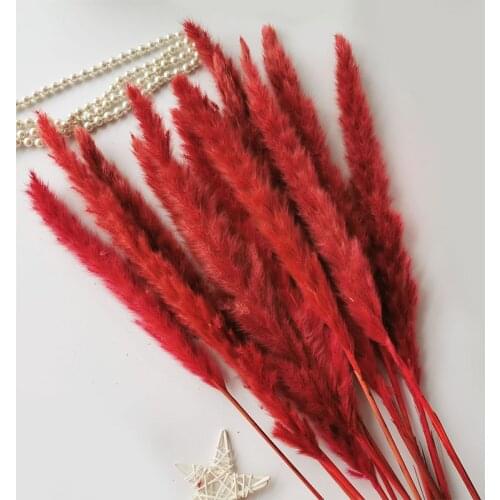 15pcs Dried Wedding Pampas Grass Decor Natural Flowers Pampas Grass Marriage Decoration Accesories Home Party Room Ornaments