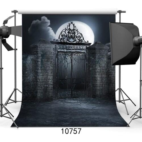 Strange Photography Backdrops Night Shabby Iron Gate 3D Backgrounds for Photo Studio Halloween Backdrop Vinyl Cloth Customized