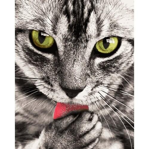 MaHuaf-i591 Tabby cat licks claws DIY painting by Numbers animal Hand-painted canvas oil paintings for Children Room home Decor