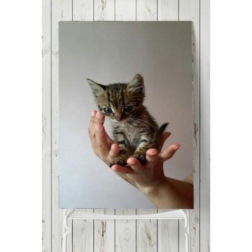 Postermanya Cat Animal Poster 40x60 cm wall graphics gráficos de parede настенная графика