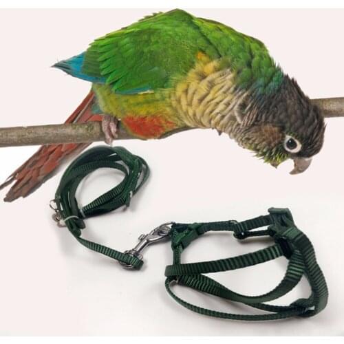 Parrot Bird Leash Outdoor Adjustable Harness Training Rope Anti Bite Flying Band