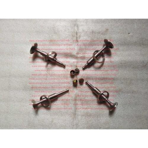 TY295IT valve repair kit, Jiangdong JD engine parts, TY295.1-2, TY295.1-1, TY295.1.1-2, TY295.1.1-3, S195-03011