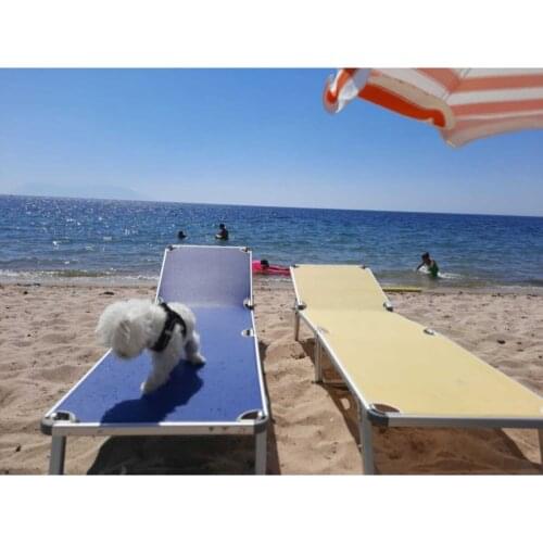 Folding First Quality Bag Can Be Bag Balcony Sea Beach Sunbed Aluminum Quality Sturdy Portable Doesn 'T Overheat Does No bend