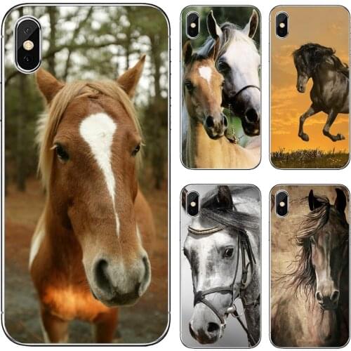 For Huawei Mate 20 30 40 7 8 9 10 Lite Pro P Smart 2018 2019 Plus G7 G8 Soft TPU Covers Amazing-horse