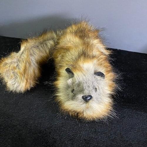 Deluxe The Rocky Raccoon Robbie Magic Tricks Stage Street Illusions Gimmick Accessories Prop Spring Animal Magie Toy Appearing