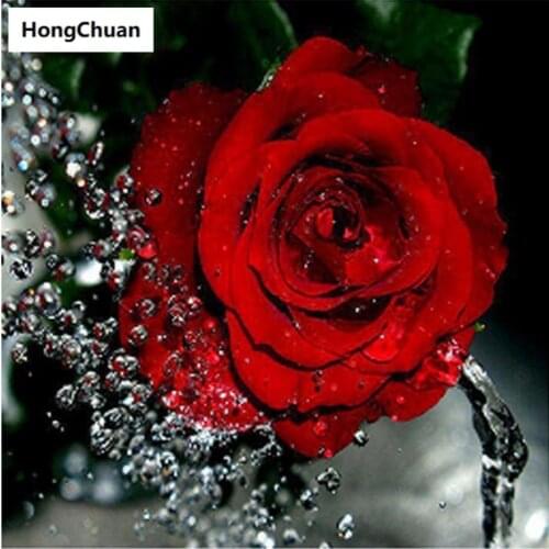 Brave Boxer 5D DIY Square/Round Diamond Painting Mosaic Cross Embroidery Home Decoration Mural Christmas Gift New Year