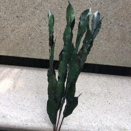 5pcs/40-45cm,Natural Preserved Leaves Craft branches with Wire Stem,DIY Display Flowers for Wedding Party Home Arrangement Decor