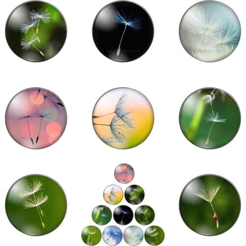New Beautiful Dandelion Patterns Mixed 10pcs 12mm/18mm/20mm/25mm Round Photo Glass Cabochon Demo Flat Back Making Findings