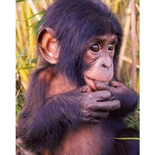 DIY 5D Diamond Painting Little monkey Cross Stitch Square Diamond Embroidery Pattern round rhinestones Diamond Mosaic art FG1936