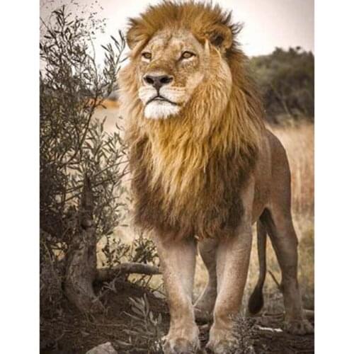 5D DIY Diamond Painting Animal Picture Wild Lion Picture Square/Round Diamond Cross Stitch Embroidery Decoration Artwork WG2969