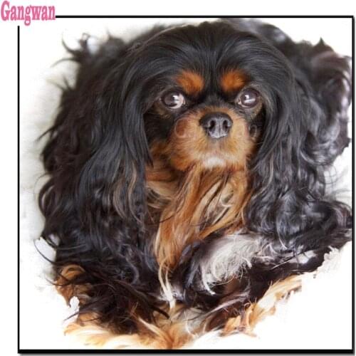 Stitch Cross Diamond Painting Cavalier king charles spaniel 5d DIY Diamond Embroidery mosaic rhinestone Needlework Home Decor