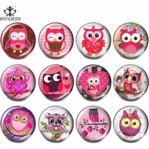 12pcs/lot Mixed Color Owl Theme Round Photo Glass Cabochon 18mm Snap Buttons Charm DIY Bracelet Jewelry Women berloque