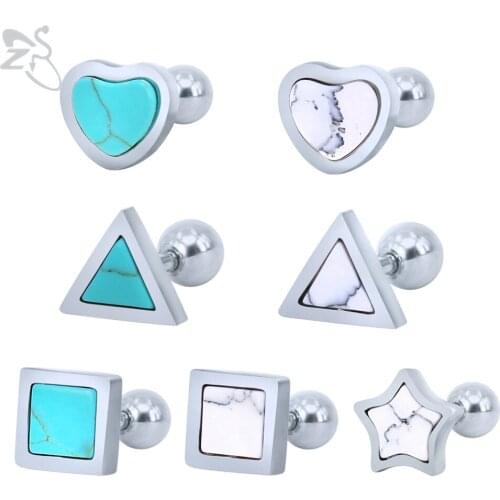 ZS 2 Pcs Cute Stud Earrings Heart Star Shape Earrings High Quality Stainless Steel Body Jewelry Tiny Pendientes For Women Girls