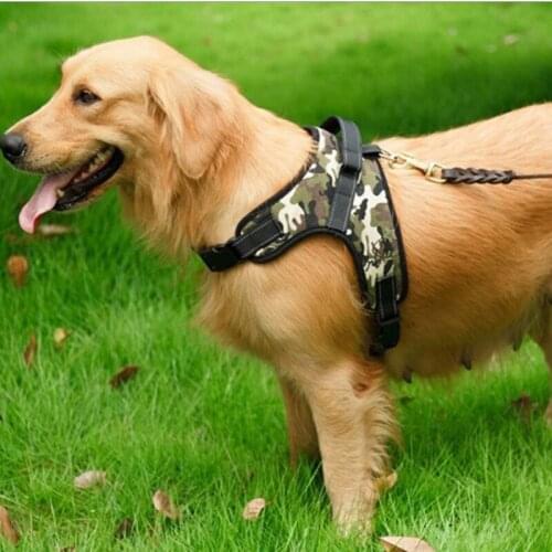 Pet Dog Harness Summer Mesh Nylon Breathable Dog Vest Soft Adjustable Harness For Dogs Puppy Collar Cat Pet Dog Chest Strap